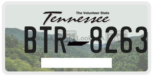 BTR8263 license plate in Tennessee