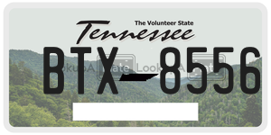 BTX8556  license plate in TN