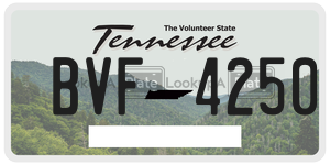 BVF4250  license plate in TN