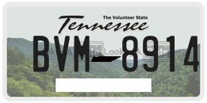 BVM8914  license plate in TN