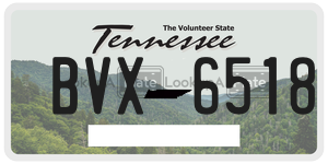 BVX6518  license plate in TN