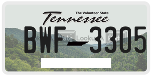 BWF3305  license plate in TN