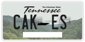 CAKES license plate in Tennessee