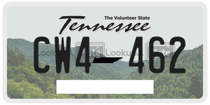 CW4462  license plate in TN