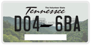 D046BA  license plate in TN