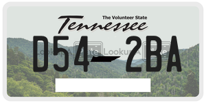 D542BA  license plate in TN