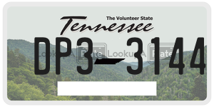 DP33144  license plate in TN