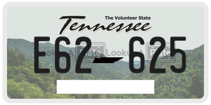 E62625  license plate in TN