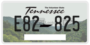 E82825  license plate in TN