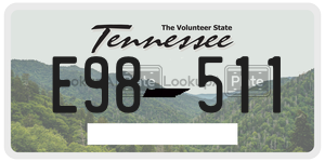 E98511  license plate in TN