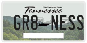 GR8NESS  license plate in TN