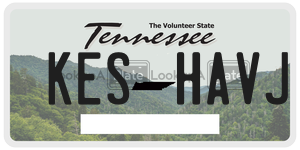 KESHAVJ  license plate in TN