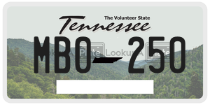 MB0250  license plate in TN