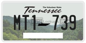 MT1739  license plate in TN