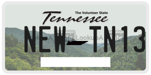 NEWTN13  license plate in TN