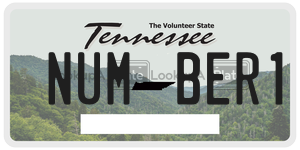 NUMBER1  license plate in TN