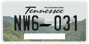 NW6031  license plate in TN