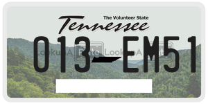 O13EM51  license plate in TN