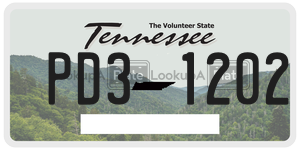 PD31202  license plate in TN