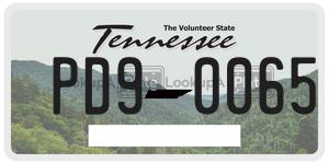 PD90065  license plate in TN