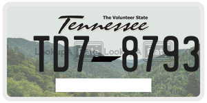 TD78793  license plate in TN