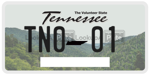 TN001  license plate in TN