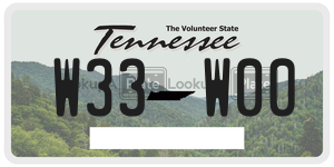 W33W00  license plate in TN