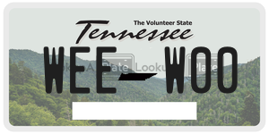 WEEW00  license plate in TN