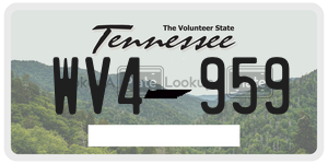 WV4959  license plate in TN