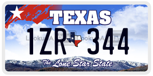1ZR344  license plate in TX