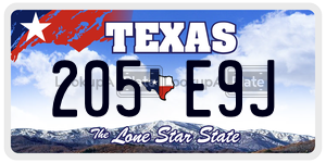 205E9J license plate in Texas