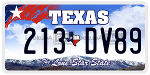 213DV89  license plate in TX