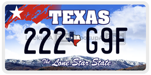 222G9F license plate in Texas
