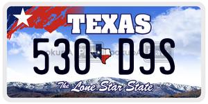 530D9S  license plate in TX