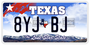 8YJBJ  license plate in TX