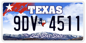 9DV4511 license plate in Texas