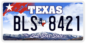 BLS8421 license plate in Texas