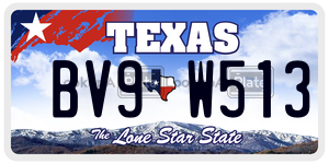 BV9W513 license plate in Texas