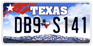 DB9S141 license plate in Texas