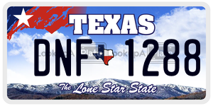 DNF1288 license plate in Texas