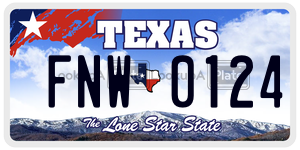 FNW0124 license plate in Texas
