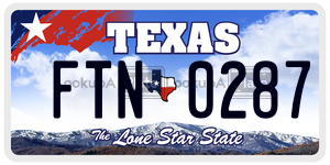 FTN0287  license plate in TX
