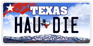 HAUDIE license plate in Texas