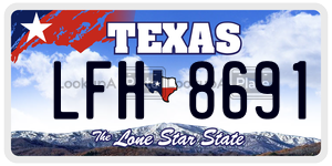 LFH8691 license plate in Texas