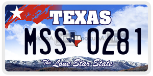 MSS0281 license plate in Texas