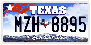 MZH8895 license plate in Texas