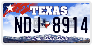 NDJ8914 license plate in Texas