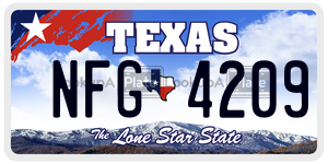 NFG4209 license plate in Texas