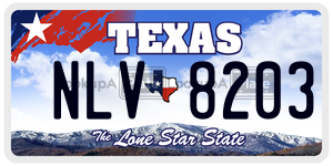 NLV8203 license plate in Texas