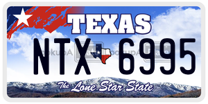 NTX6995 license plate in Texas